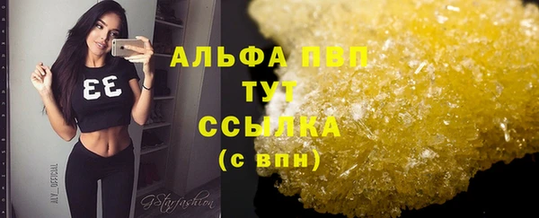 гашик Абаза